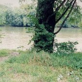 Boat Landing - Buckingham County