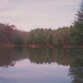 Thrasher Park - Stonehouse Lake