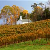 Barboursville Vineyards