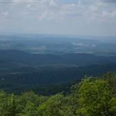 Birch Knob