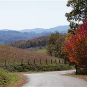 Grayson County