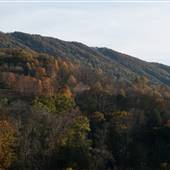 Cove Mountain Farm
