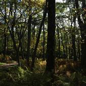 Stony Man Trail at Shenandoah National Park