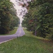 Rt. 250 - Shannon Hill