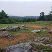 Natural Bridge State Park - Foamhenge Site