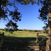 Old Raptor Farm