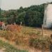 Osborne Dairy Farm