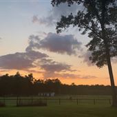 Horse Heaven Farm