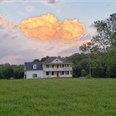 Locust Grove