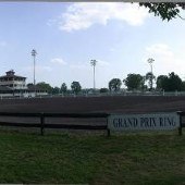 Commonwealth Park Horse Training