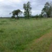Vaughn Farm - Battlefields