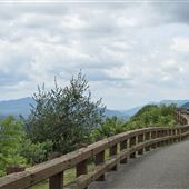 Powell Valley