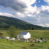 Blue Grass Mountain Farm