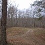 Horsepen Wildlife Management Area