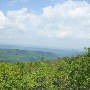 Warm Springs Mountain
