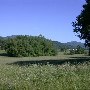 Route 231 - Revercombs Corner