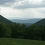 Homestead Pasture