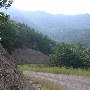 Forest Route 384