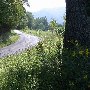 Village of Syria