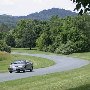 Scenic Roadshots Ivy