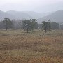 Lockridge Farm & Property