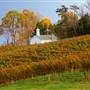 Barboursville Vineyards
