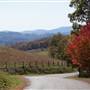 Grayson County