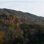 Cove Mountain Farm