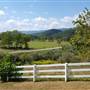 Clover Creek Farms