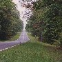 Rt. 250 - Shannon Hill