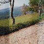 Flat Top Mountain Road