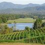 Afton Mountain Vineyards