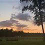 Horse Heaven Farm
