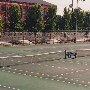 VCU Tennis Courts