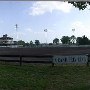 Commonwealth Park Horse Training
