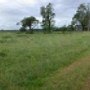 Vaughn Farm - Battlefields