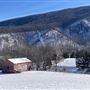 Patriots Bend Farm