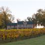 Old House Vineyards