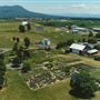 White Oak Lavendar Farm