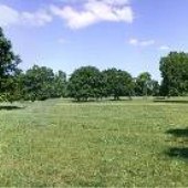 Maringo Farm-New Kent County