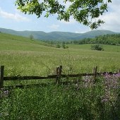 Falling Springs