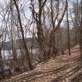 Whitt-Riverbend Park