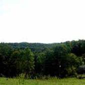 Fairy Stone Estates