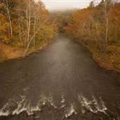 Jackson River