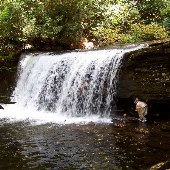 Smyth County Virginia