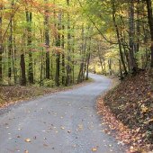 Sugar Hollow Road