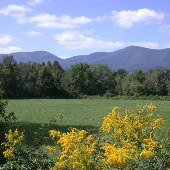 Tom's Dream Ranch