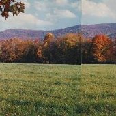 Potts Creek Valley