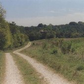 Sabot Hill Estate - Fields