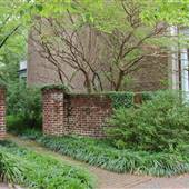 The Mews